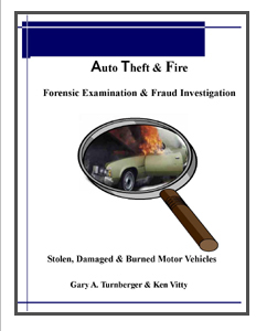 Auto Theft and Fire